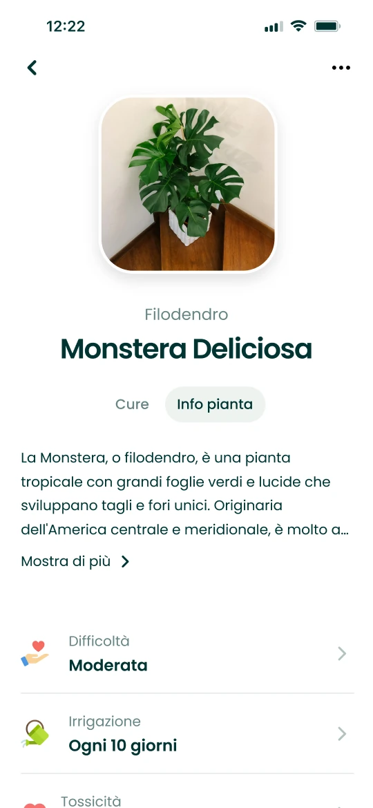 Scheda di una Monstera deliciosa nell’app Plantalya con le informazioni di cura