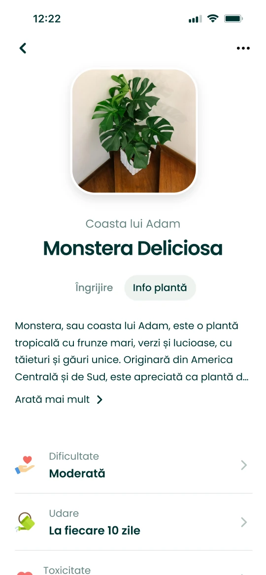 Fișa unei Monstera deliciosa în aplicația Plantalya cu informațiile de îngrijire