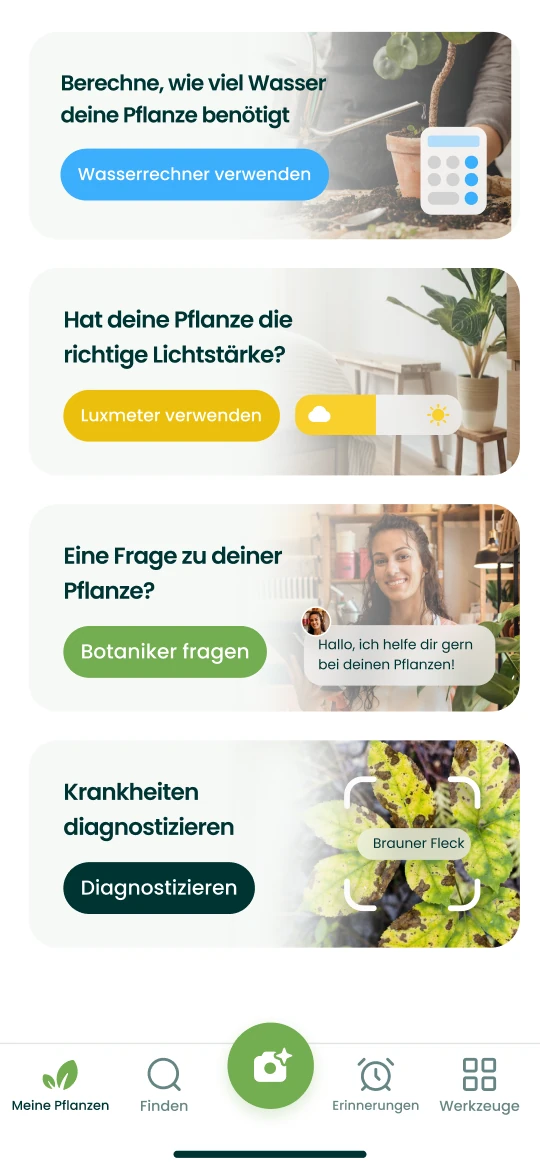 Werkzeuge der Plantalya-App: Wasserrechner, Luxmeter, Frage an den Botaniker und Diagnose