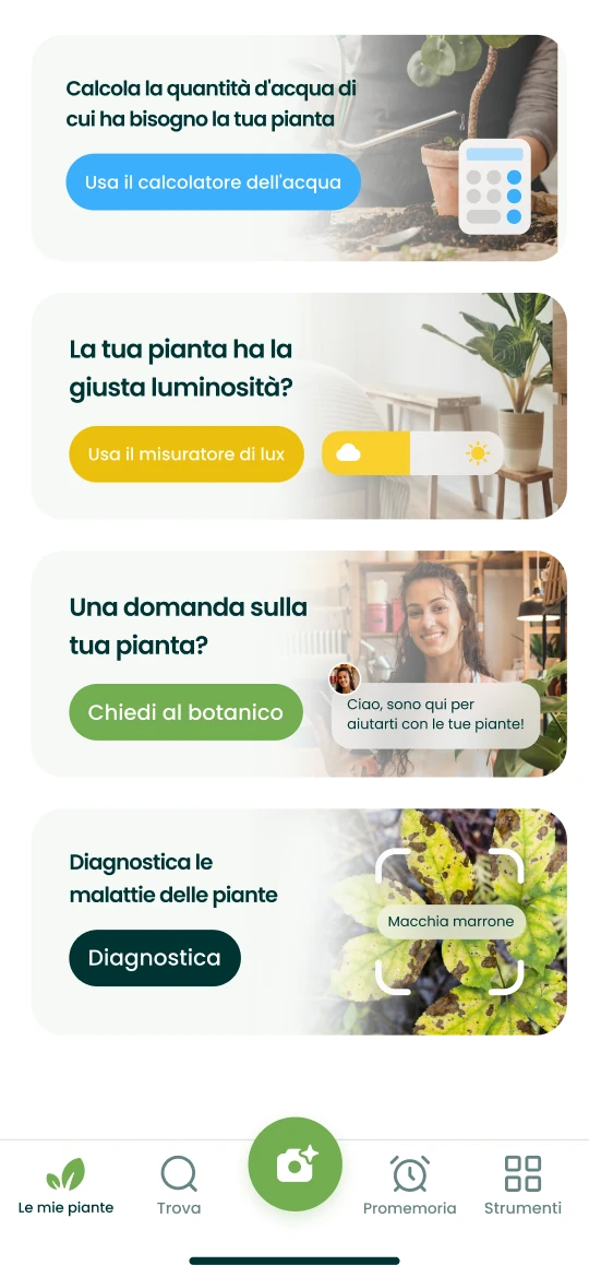 Strumenti dell’app Plantalya: calcolatore d’acqua, luxmetro, domanda al botanico e diagnosi