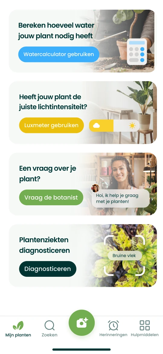 Tools van de Plantalya-app: watercalculator, luxmeter, vraag aan de botanicus en diagnose