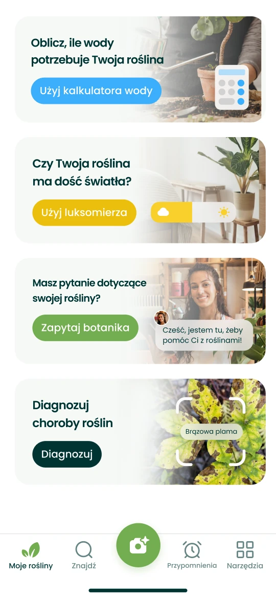 Narzędzia aplikacji Plantalya: kalkulator wody, luksomierz, pytanie do botanika i diagnoza