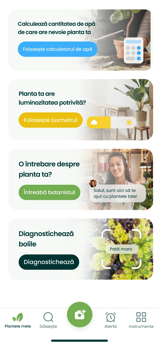 Instrumentele aplicației Plantalya: calculator de apă, luxmetru, întrebare pentru botanist și diagnostic