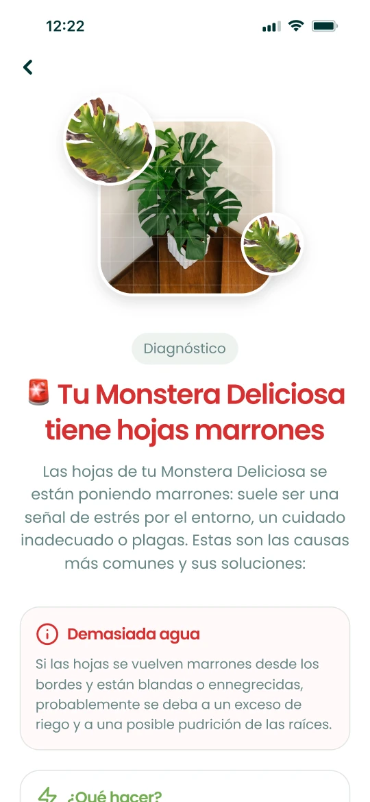 Resultado del diagnóstico de la app Plantalya para una Monstera con hojas que se oscurecen, con causas y soluciones