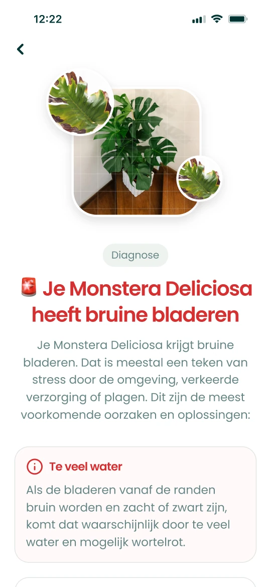 Diagnoseresultaat van de Plantalya-app voor een Monstera met bruine bladeren, met oorzaken en oplossingen
