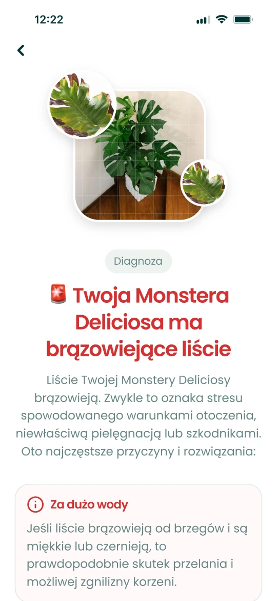 Wynik diagnozy w aplikacji Plantalya dla Monstery z brązowiejącymi liśćmi, z przyczynami i rozwiązaniami