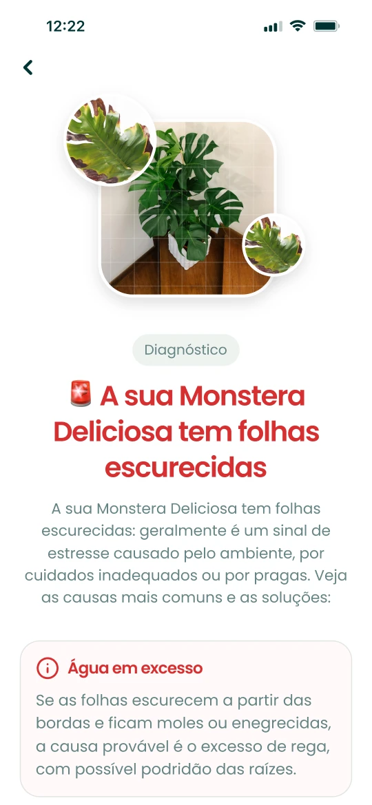 Resultado do diagnóstico da app Plantalya para uma Monstera com folhas a acastanhar, com causas e soluções