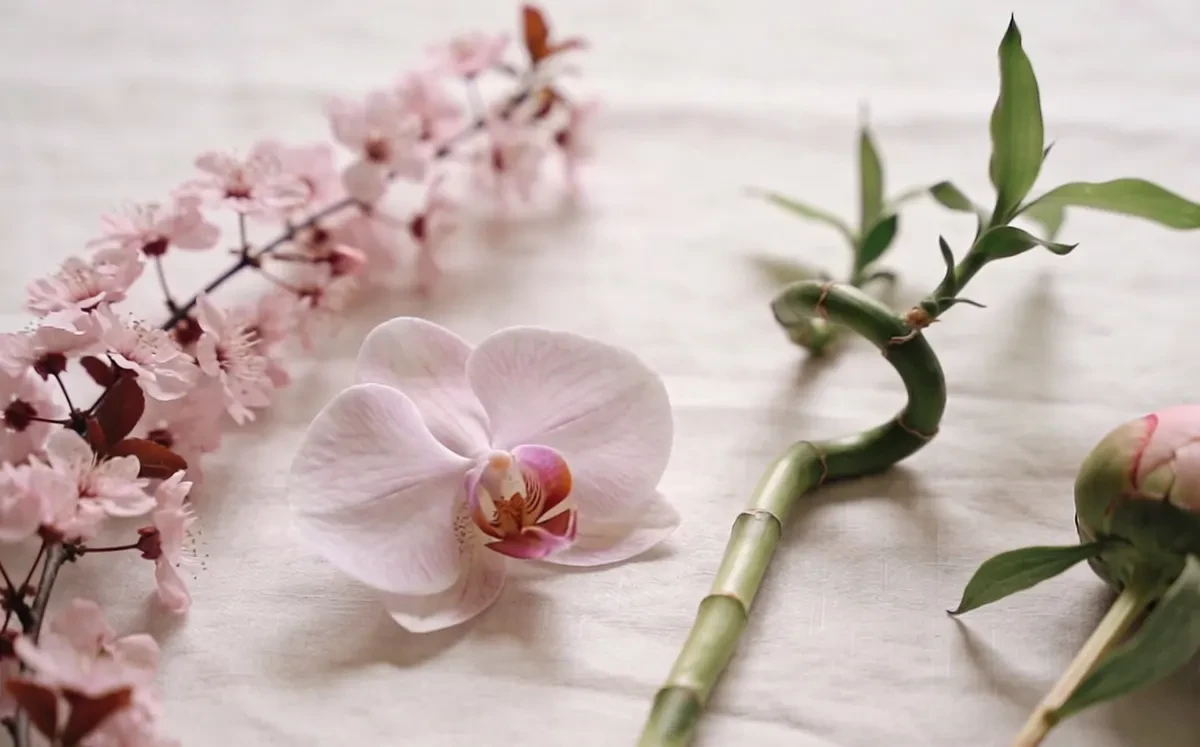 Flora typical of Asia