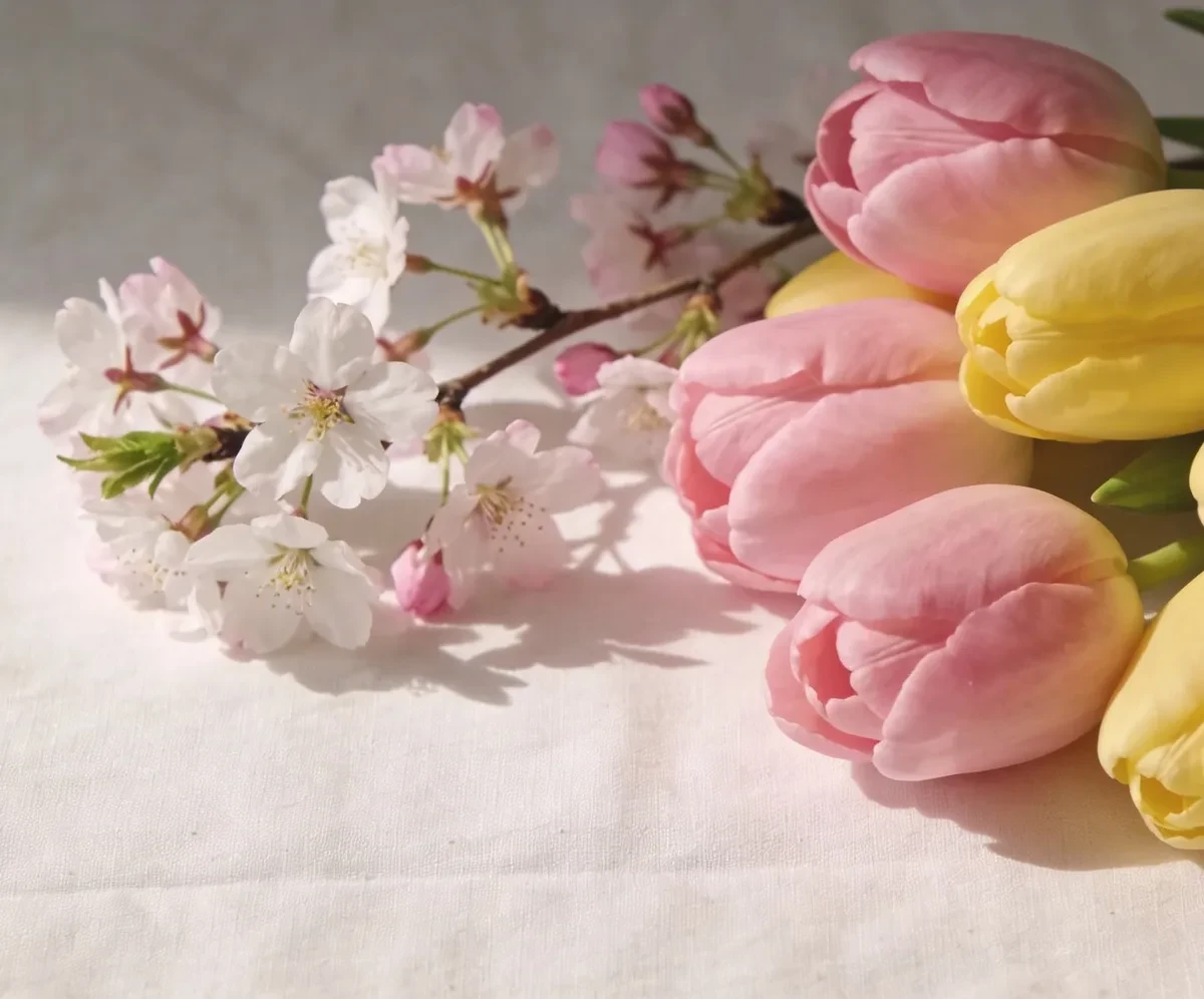 Spring